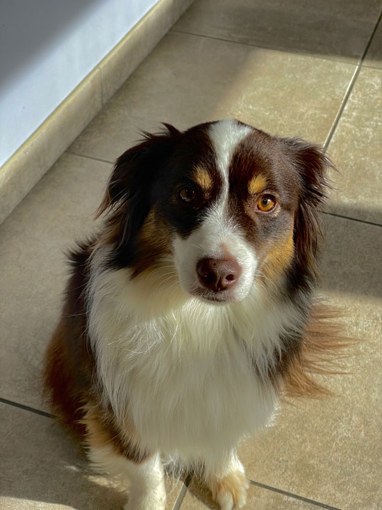 mascotte
